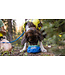 Ruffwear Trail Runner Bowl, Blue Pool