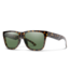 Smith Optics Lowdown 2