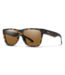 Smith Optics Lowdown 2