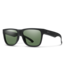 Smith Optics Lowdown 2