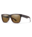 Smith Optics Lowdown 2 CORE Matte Tortoise Polarized Brown