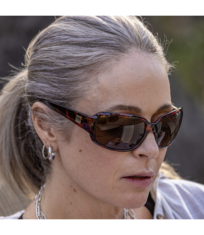 Suncloud Cookie Reader