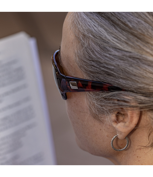 Suncloud Cookie Reader