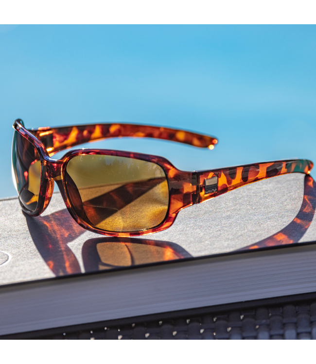 Suncloud Cookie Reader