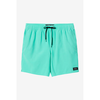 O'Neill M's Lennox Hermosa Solid Volley 17" Boardshorts