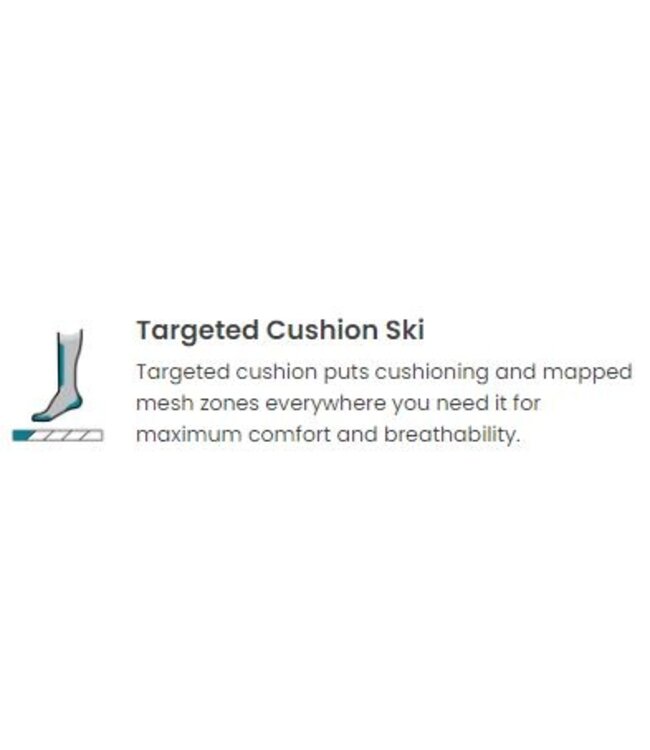 Smartwool Ski Targeted Cushion Summit Shot OTC Socks