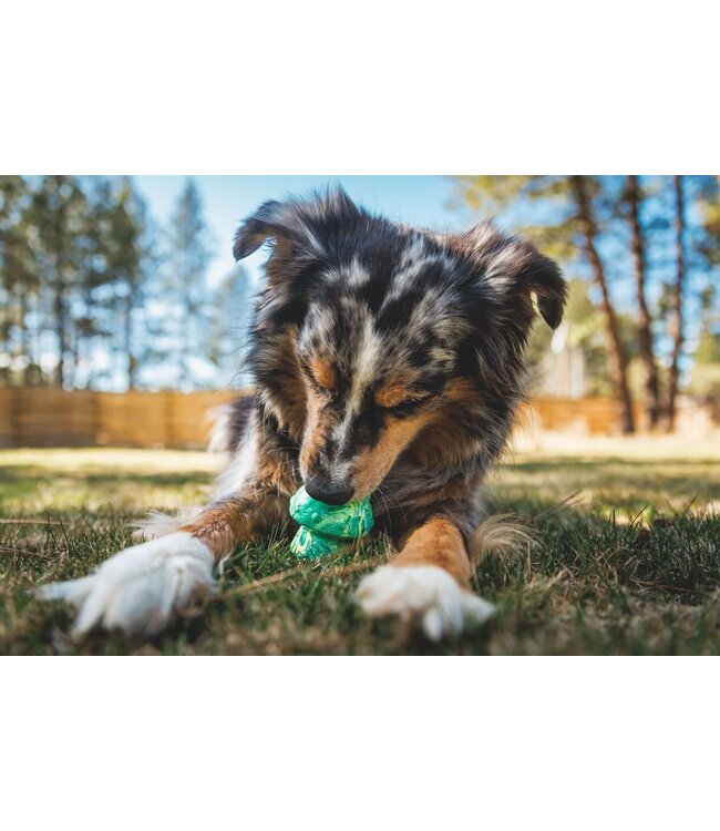 Ruffwear Toadstool Dog Toy