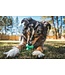 Ruffwear Toadstool Dog Toy