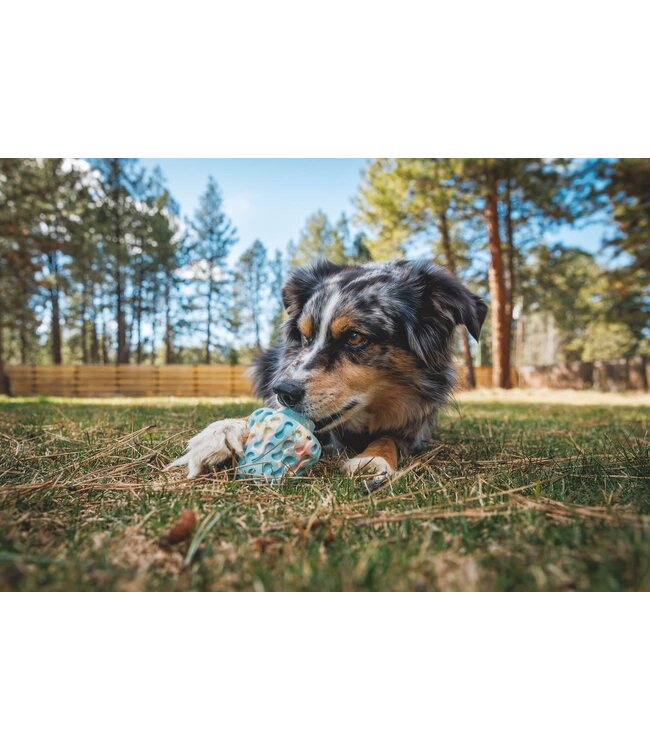 Ruffwear Morel Dog Toy
