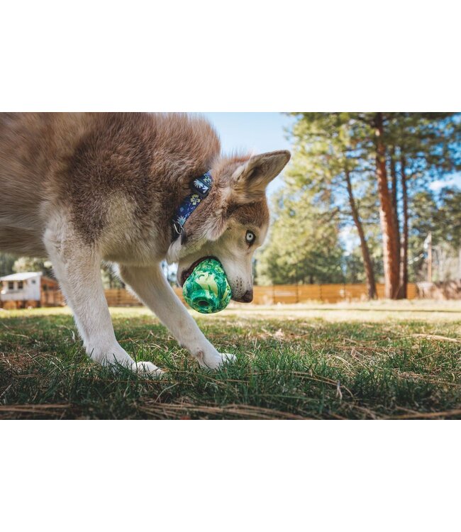 Ruffwear Morel Dog Toy