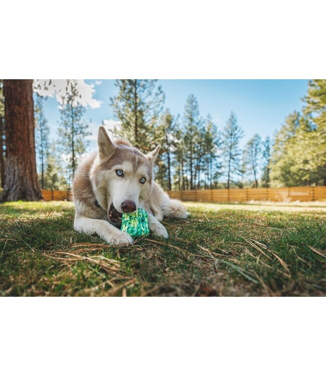 Ruffwear Morel Dog Toy