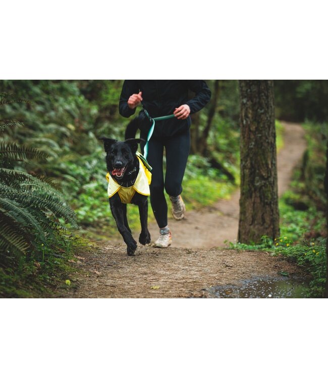 Ruffwear Sun Shower Dog Raincoat
