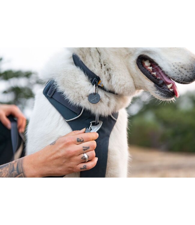 Ruffwear Front Range Dog Harness
