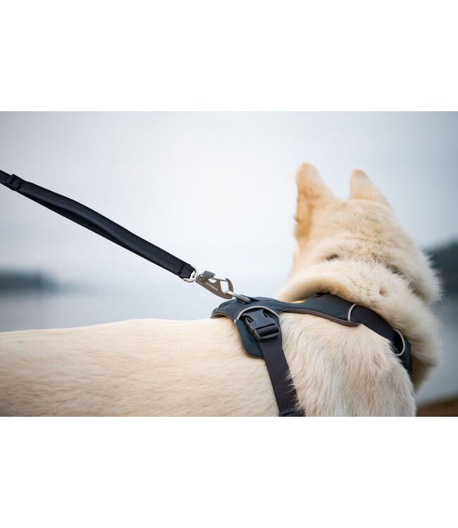 Ruffwear Front Range Dog Harness