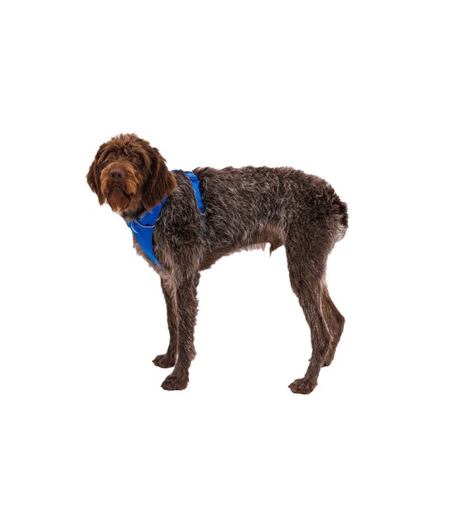 Ruffwear Front Range Dog Harness
