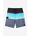 O'Neill M's Lennox Stripe 21" Boardshorts