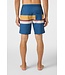 O'Neill M's Cruzer Stripe Scallop Boardshorts