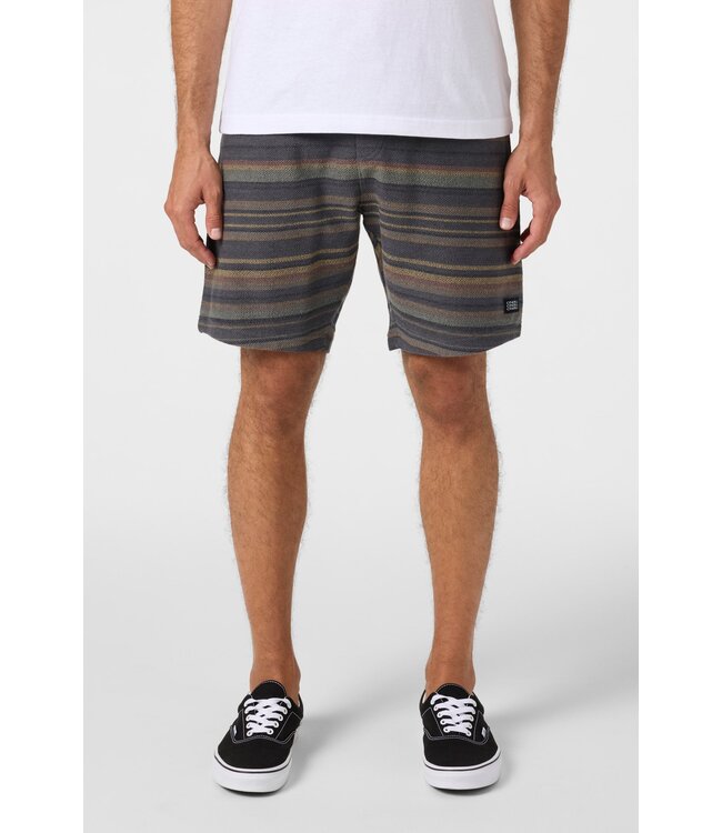 O'Neill M's Bavaro 19" Stripe Shorts