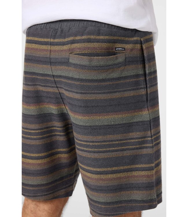 O'Neill M's Bavaro 19" Stripe Shorts