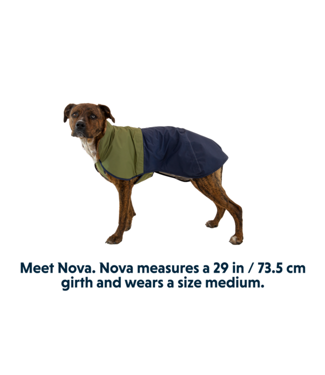 Ruffwear Sun Shower Dog Raincoat