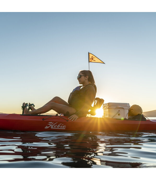 Hobie Safety Flag Assembly