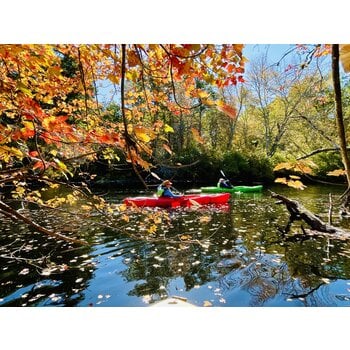 Fall Tours