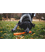 Ruffwear Gnawt-a-Stick Dog Toy
