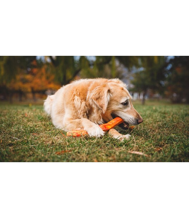 Ruffwear Gnawt-a-Stick Dog Toy