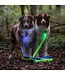 Rechargeable LED Dog Leash