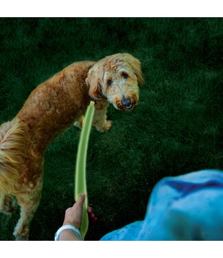 Rechargeable LED Dog Leash