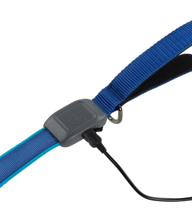 Rechargeable LED Dog Leash