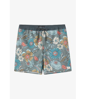 O'Neill M's Hermosa Elastic Waist 17" Lined Swim Trunks