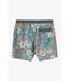 O'Neill M's Hermosa Elastic Waist 17" Lined Swim Trunks