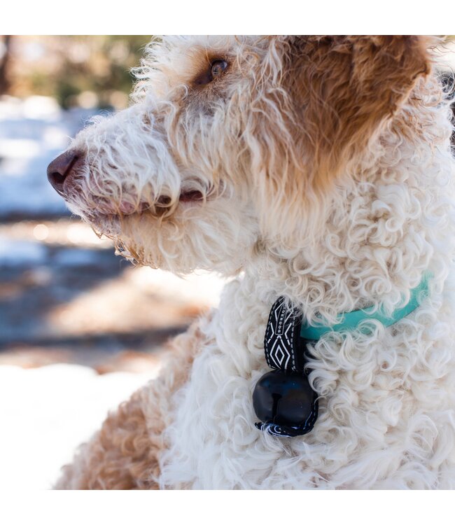 Wilderdog Backcountry Bell