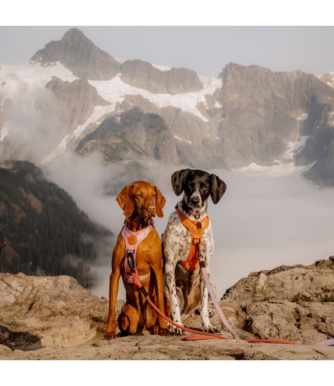 Wilderdog Dog Harness