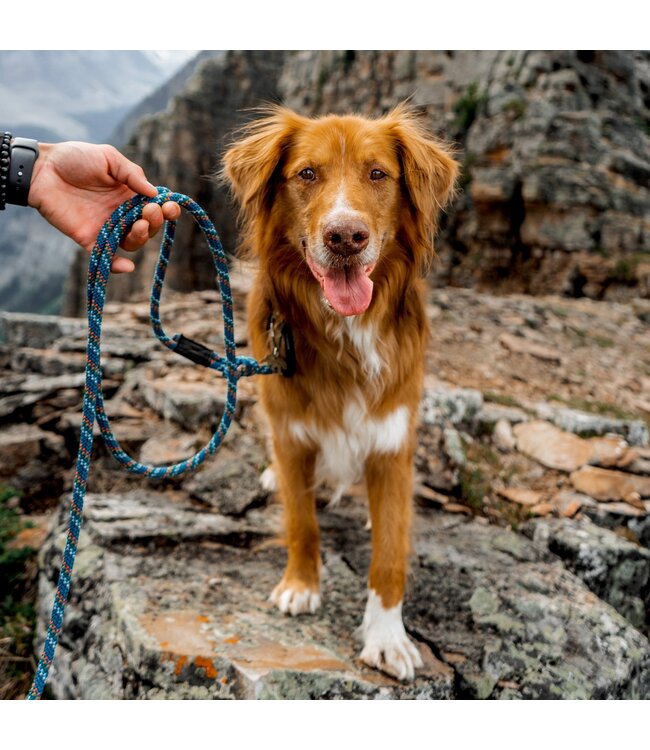 Wilderdog Big Carabiner Rope Leash