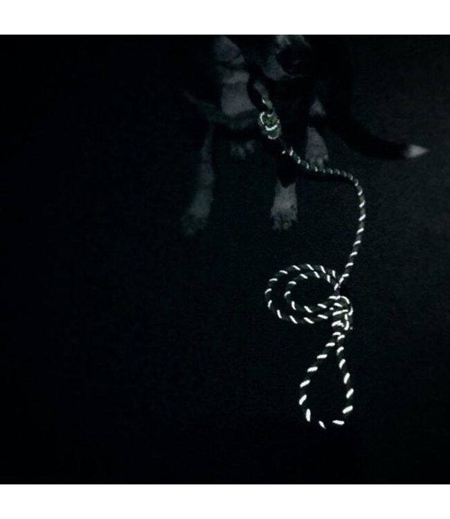Wilderdog Big Carabiner Rope Leash