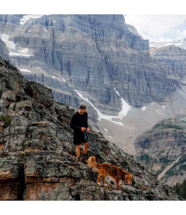 Wilderdog Big Carabiner Rope Leash