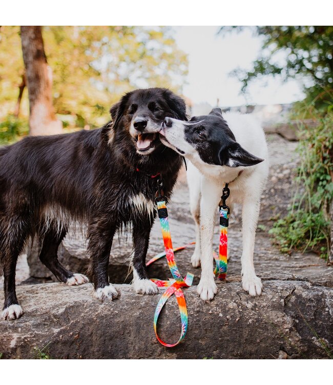 Wilderdog Waterproof Leash