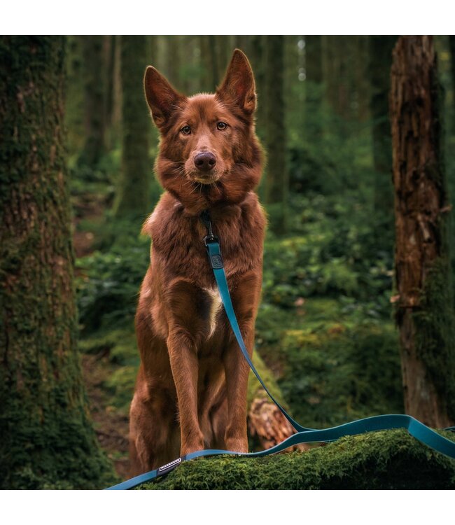 Wilderdog Waterproof Leash