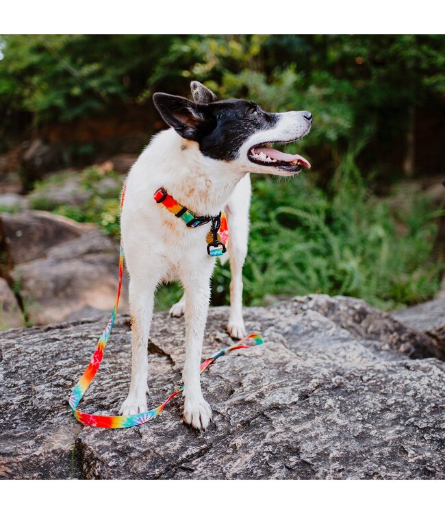 Wilderdog Waterproof Collar