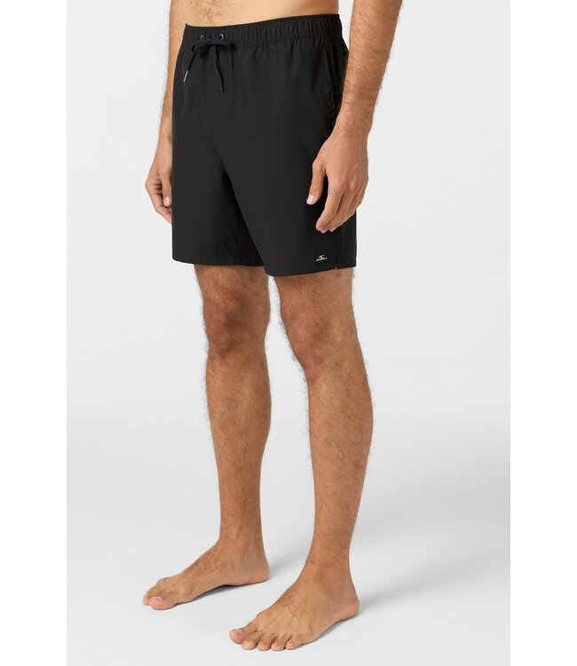 O'Neill M's Lennox Hermosa Solid Volley 17" Swim Trunks