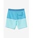 O'Neill Men's Hyperfreak Mysto Block Scallop 19" Boardshort