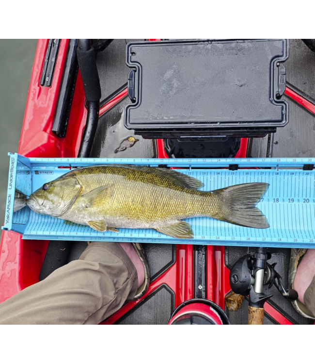 YakAttack LeaderBoard 28" Measuring Board Jetty Blue