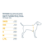 Ruffwear Front Range Flex Harness
