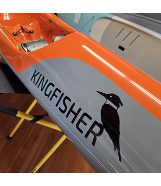 Stellar Kingfisher