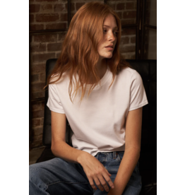 Perfect White Tee PERFECT WHITE TEE:: SPRINGSTEEN