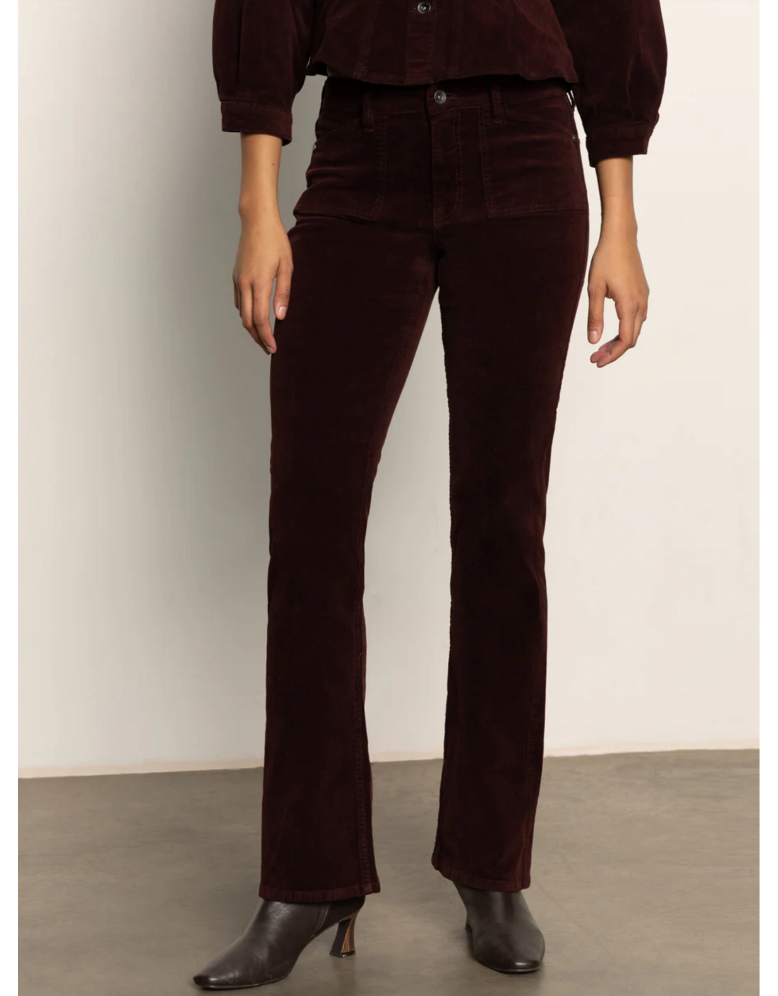 SANCTUARY:: VELVETEEN BROOK BOOTCUT