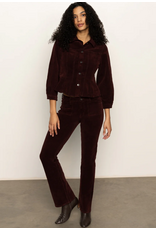 SANCTUARY:: VELVETEEN BROOK BOOTCUT