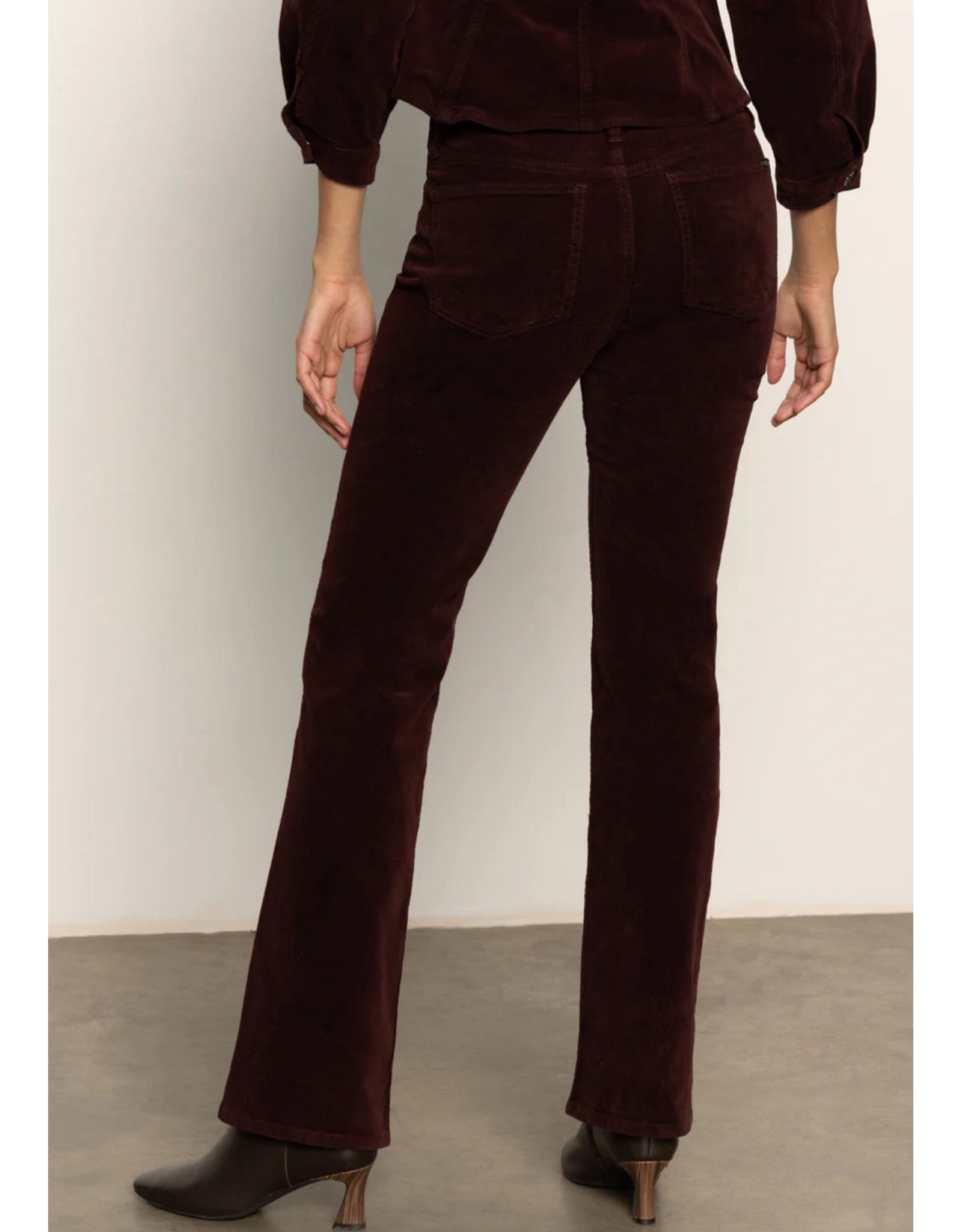 SANCTUARY:: VELVETEEN BROOK BOOTCUT